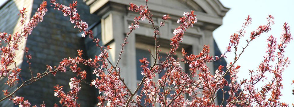 Sprachschule Tours Institut de Touraine